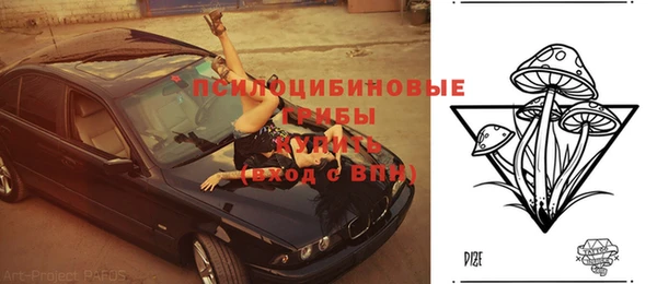 mdma Новодвинск