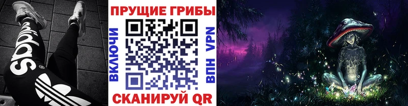 Галлюциногенные грибы MAGIC MUSHROOMS  Симферополь 