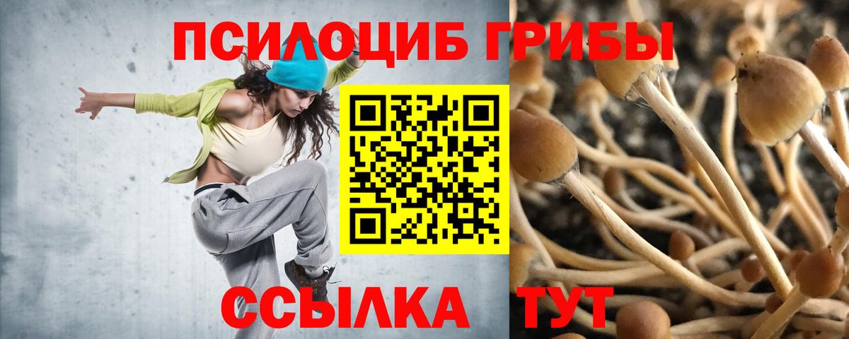 Галлюциногенные грибы GOLDEN TEACHER  Псилоцибиновые грибы прущие грибы  Вход с VPN  Симферополь 